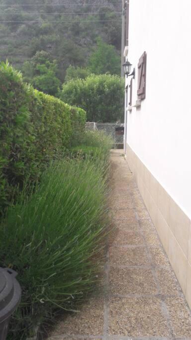 Jolie Maison Avec Jardin Villefranche-de-Conflent Exterior foto